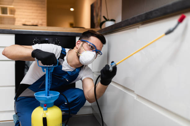 Best Affordable Exterminators  in Alorton, IL