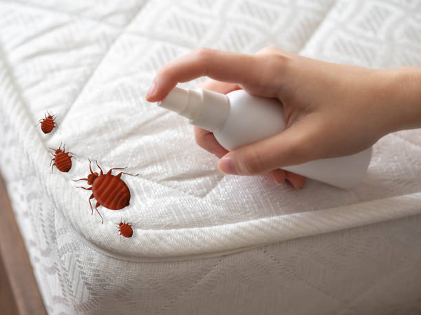 Best Flea Control Services  in Alorton, IL