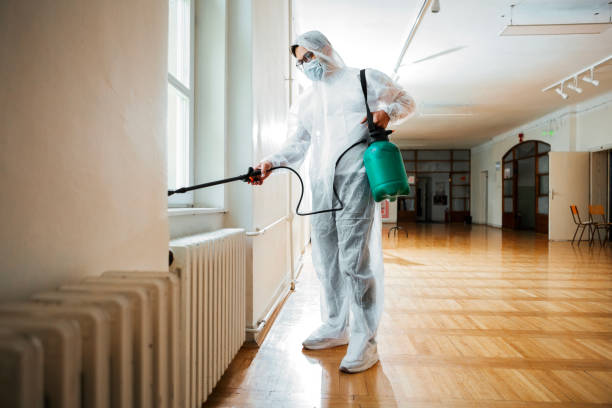 Best Pest Removal Services  in Alorton, IL