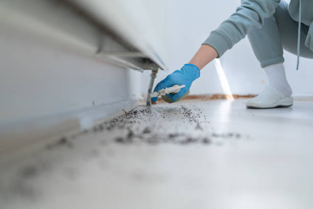 Best Pest Removal Services  in Alorton, IL