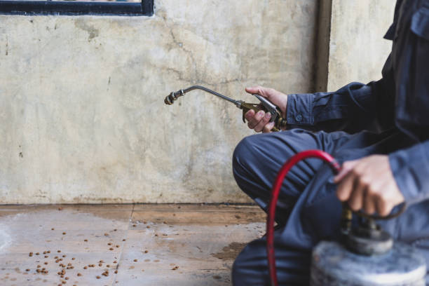 Pest Control Cost in Alorton, IL