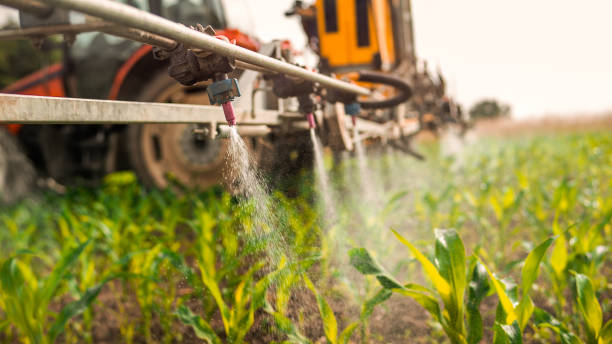 Reliable Alorton, IL Pest Control Solutions